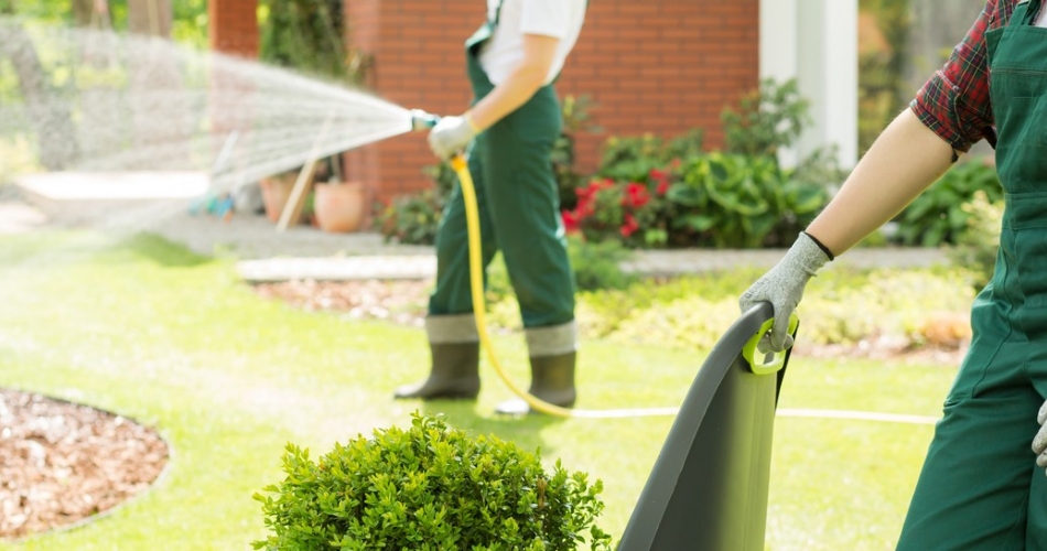 Service à la personne — entretien de jardin